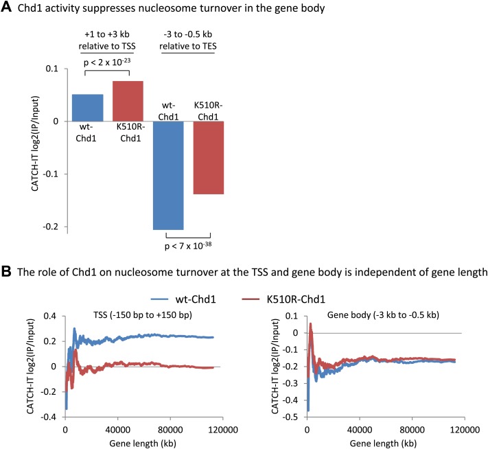 Figure 3—figure supplement 1.