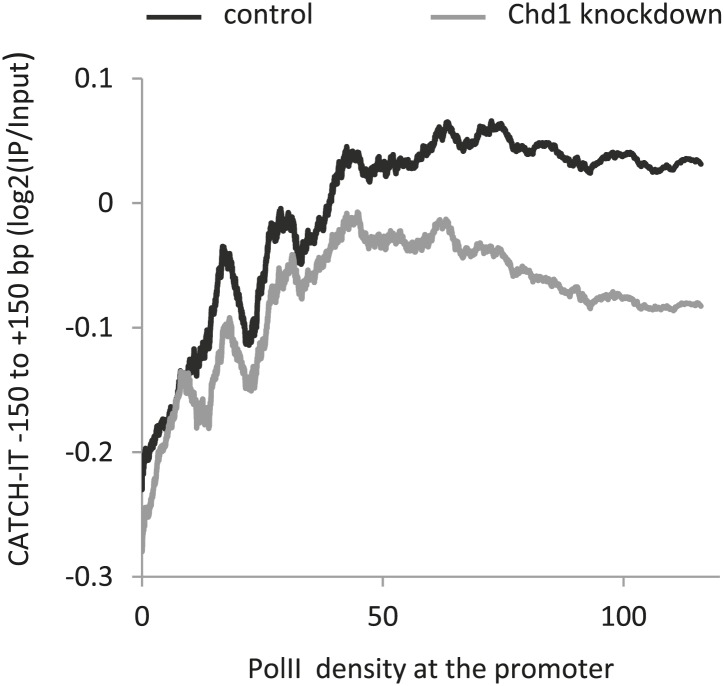 Figure 4—figure supplement 1.