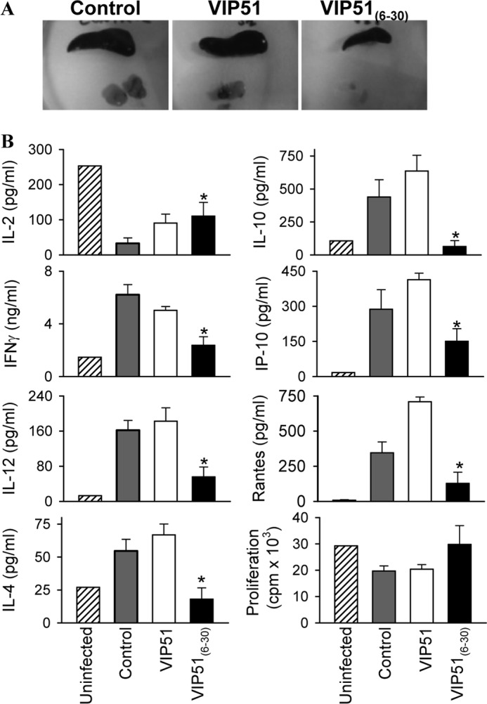 FIGURE 10.