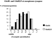 Fig. 10.