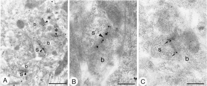 Fig. 9.