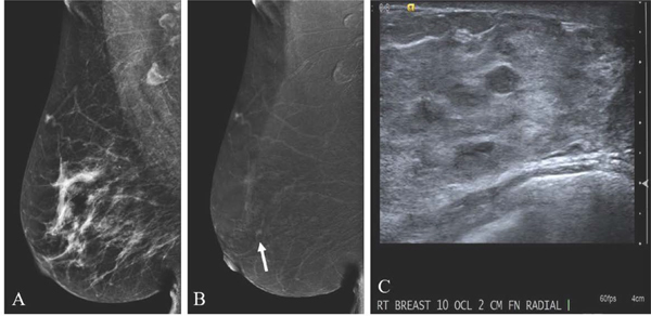 Fig. 9.