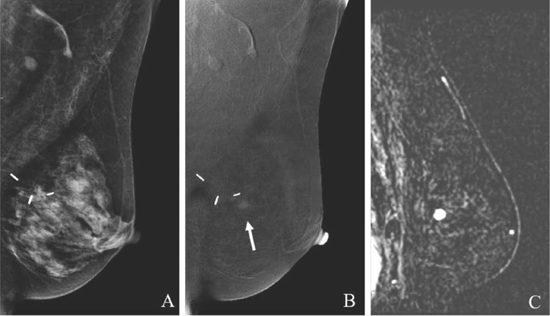 Fig. 8.