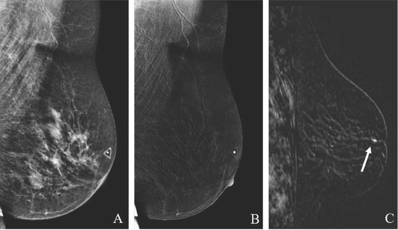 Fig. 10.