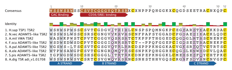 Figure 2—figure supplement 1.