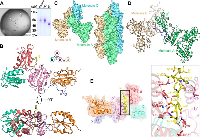 Figure 2.