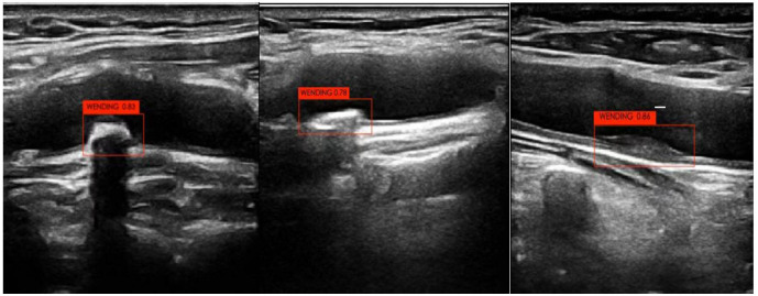 Fig. 3.
