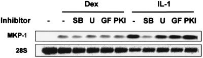 FIG. 5.