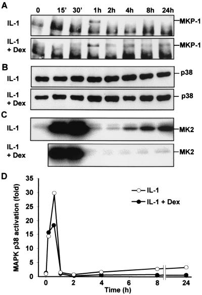 FIG. 6.