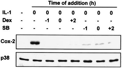 FIG. 7.