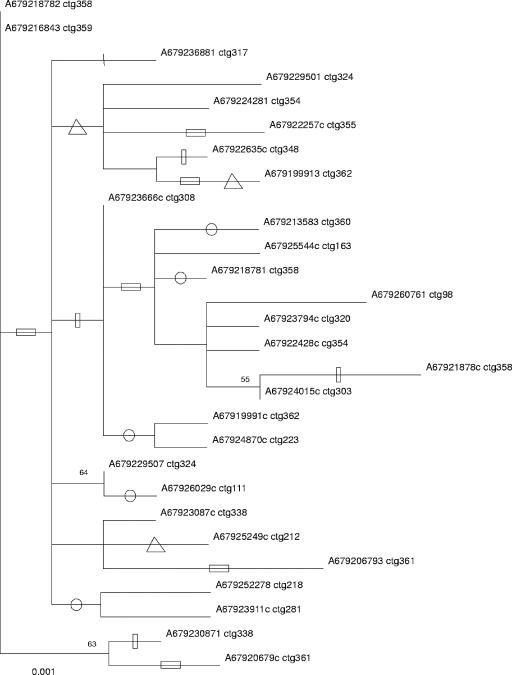 FIG. 2.