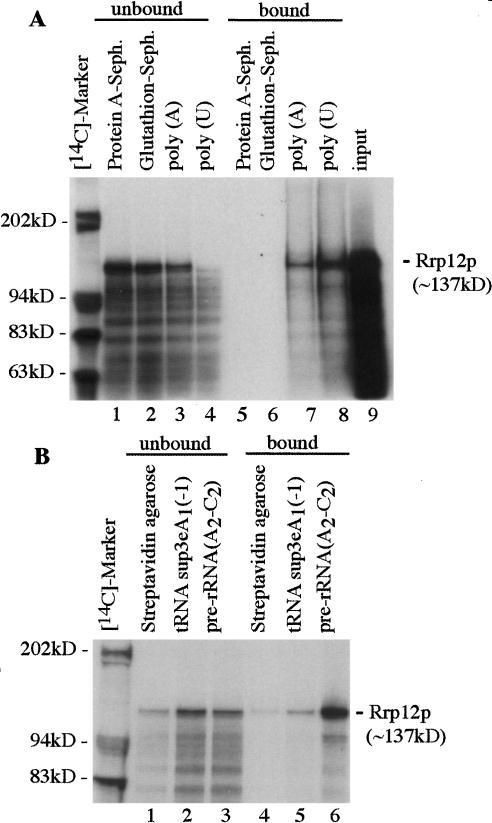 Figure 9.