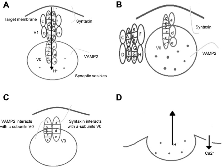 Figure 2.