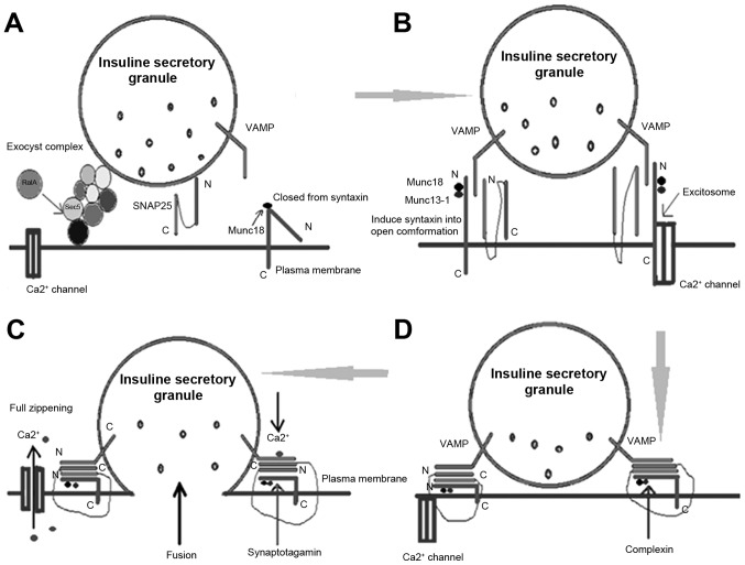 Figure 3.