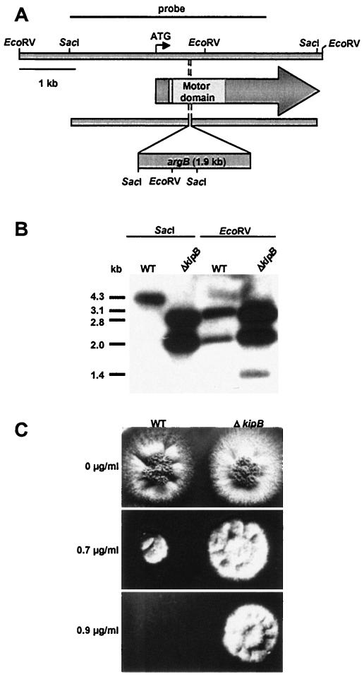 FIG. 3.