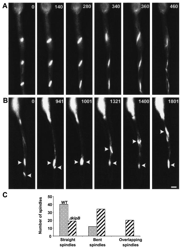 FIG. 5.