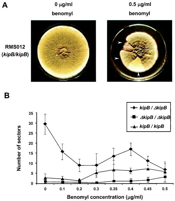 FIG. 8.