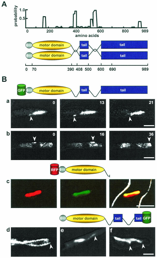 FIG. 9.