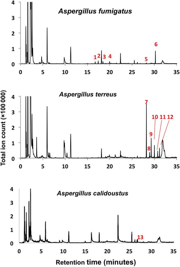 Figure 1.