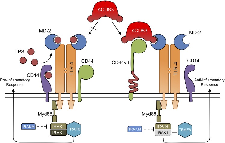 FIGURE 11.