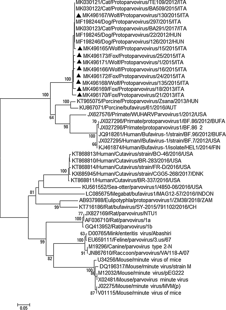 Fig. 1