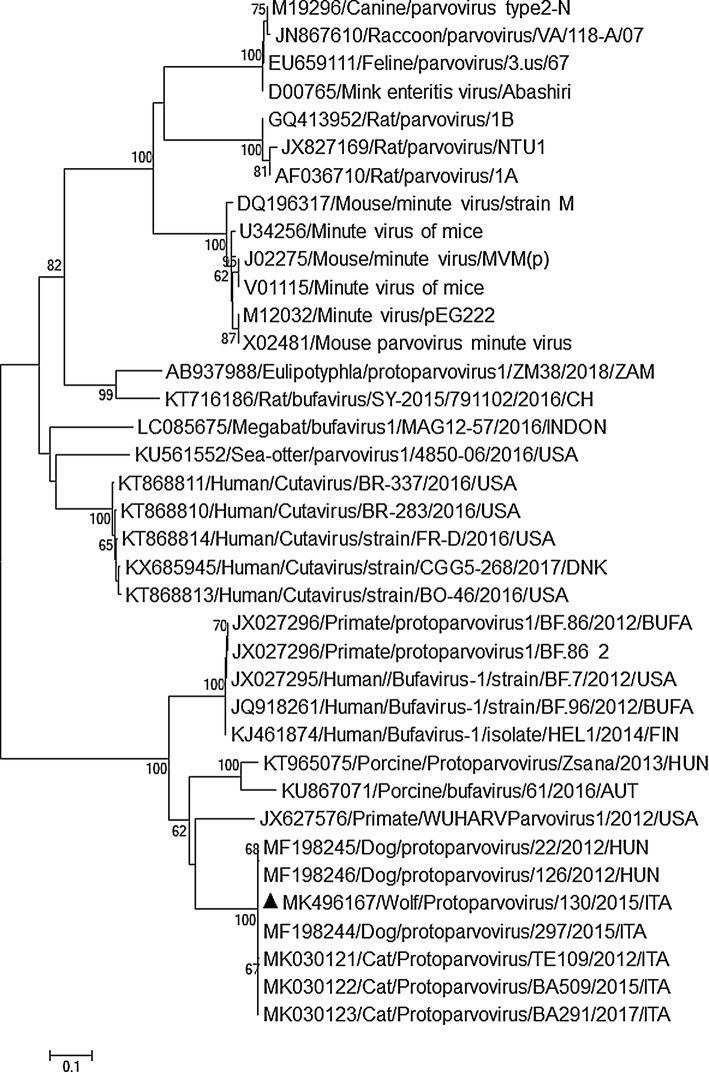 Fig. 1