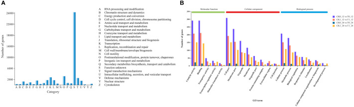 Figure 4