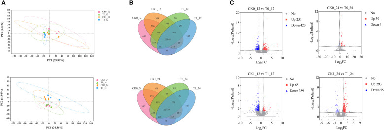 Figure 3