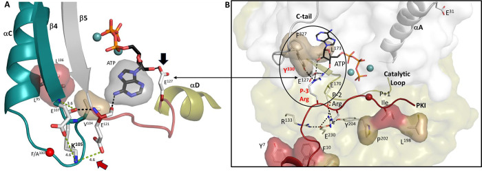 Figure 12.