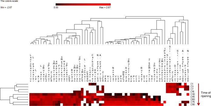 FIG 6