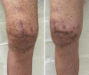 Fig. 4