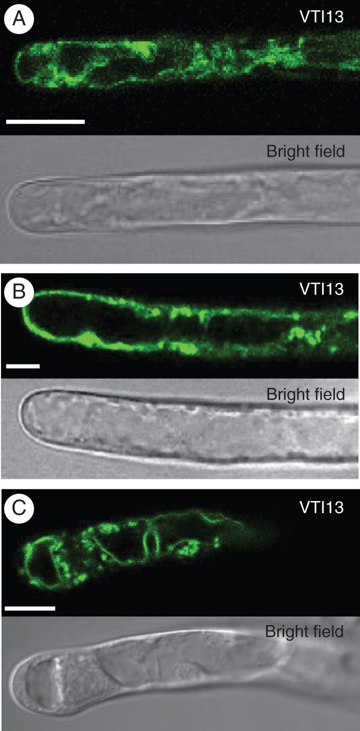 Fig. 4.