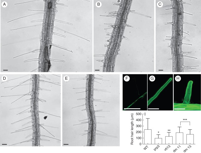 Fig. 9.