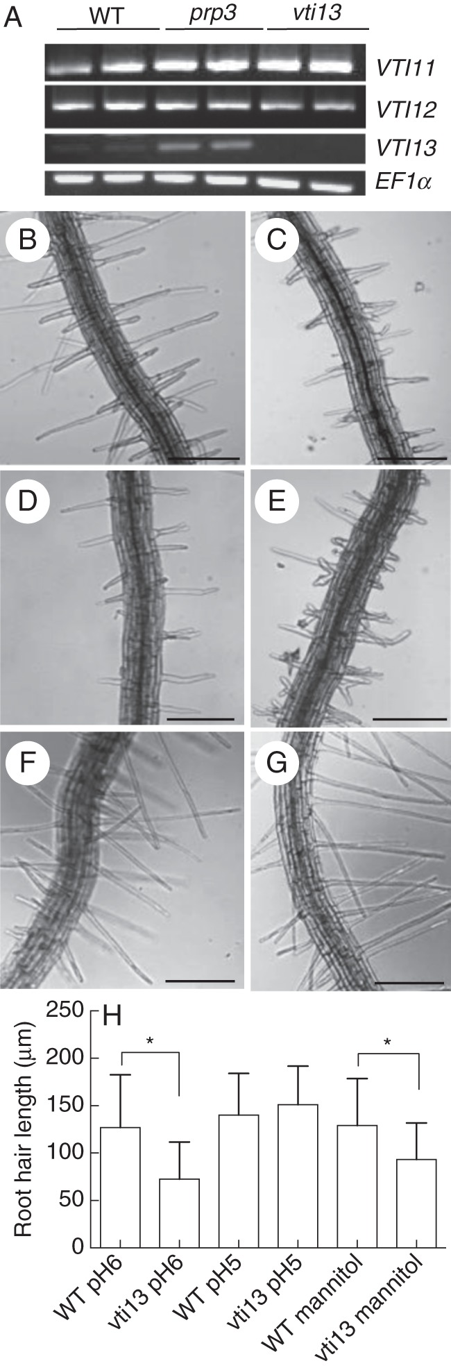 Fig. 1.