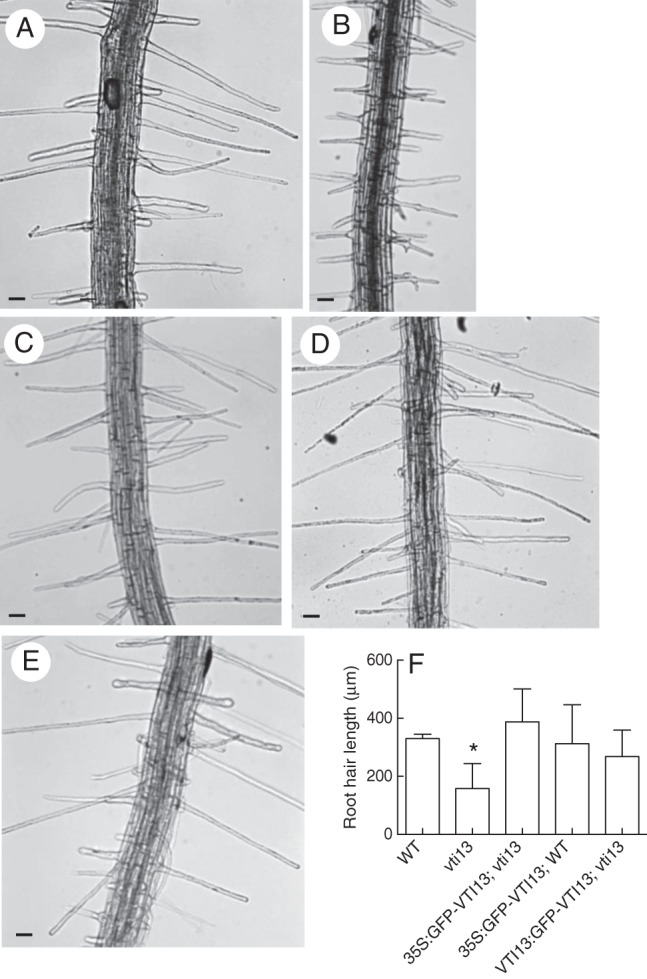 Fig. 2.