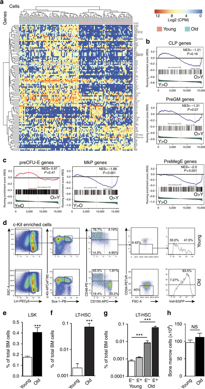 Single-cell RNA Sequencing Reveals Molecular And Functional Platelet ...