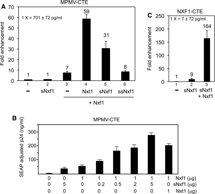 FIGURE 4: