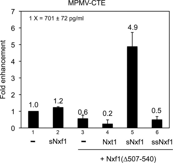 FIGURE 5: