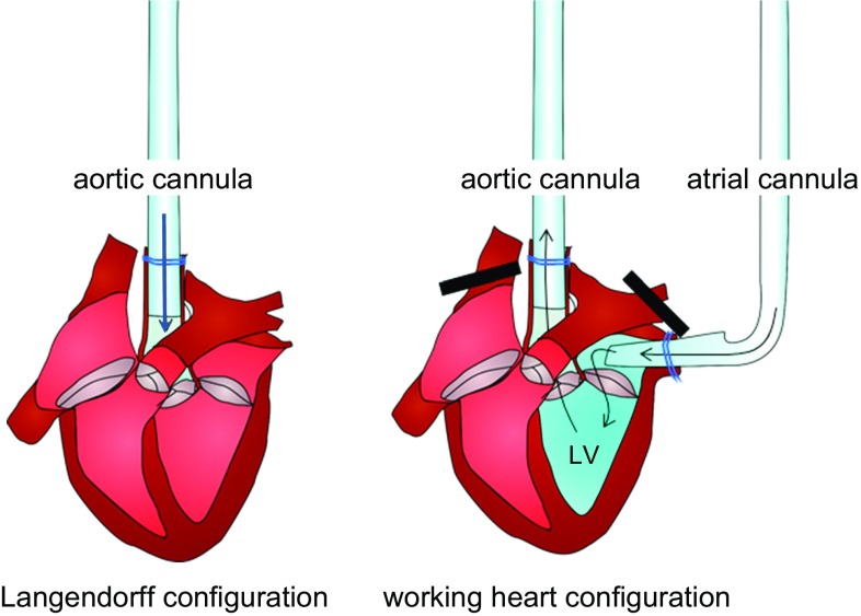 Fig. 8