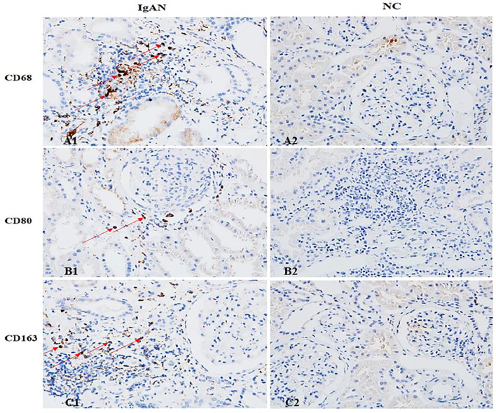 Figure 2