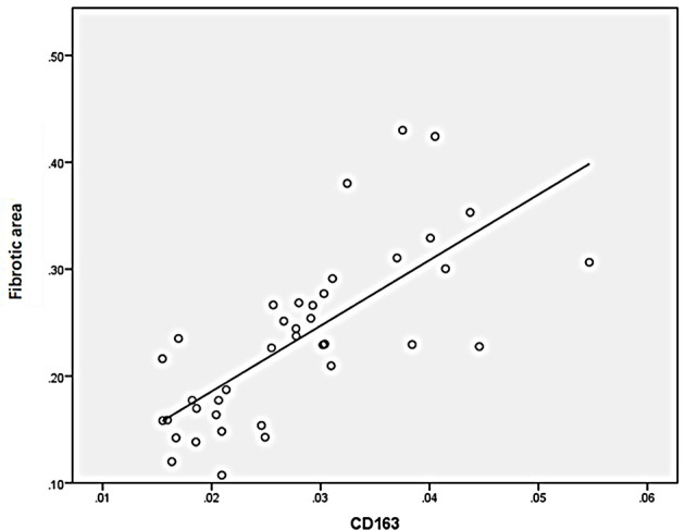 Figure 7