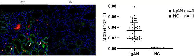 Figure 5