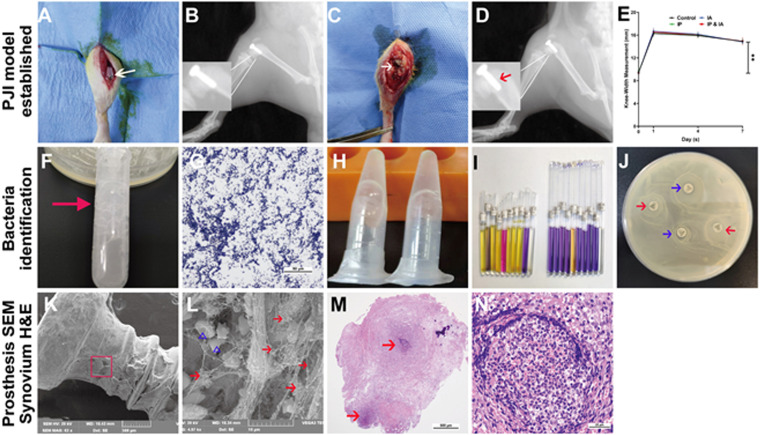 FIG 1