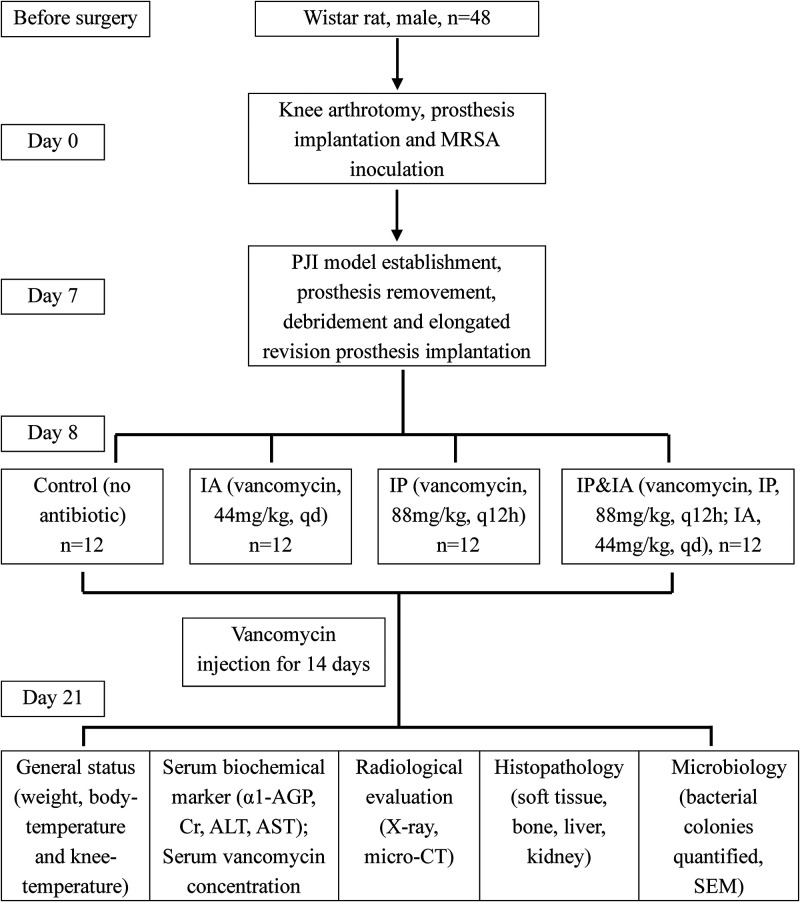 FIG 2