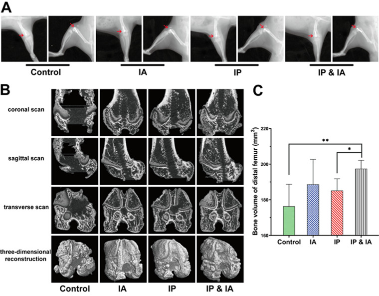 FIG 4