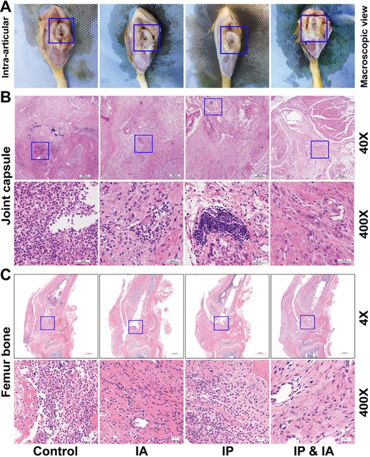 FIG 5