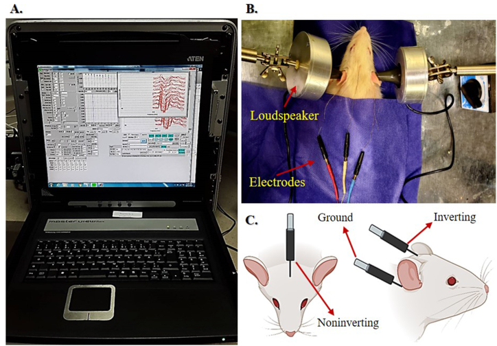 Fig. 3