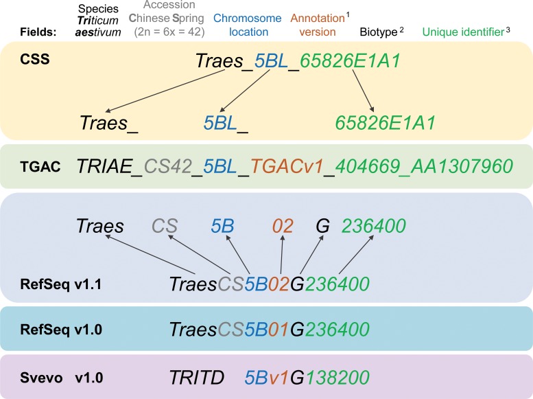 Figure 3.