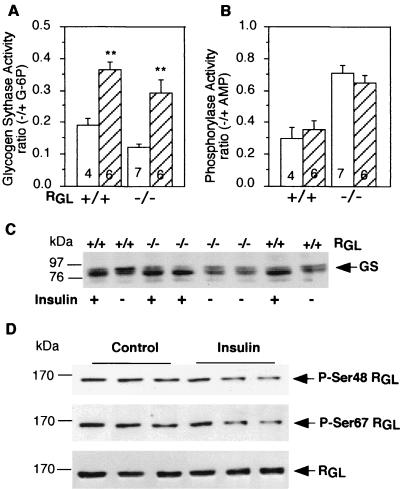 FIG. 6