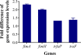FIG 6
